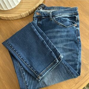 Judy Blue jeans Size 1XL Skinny Fit